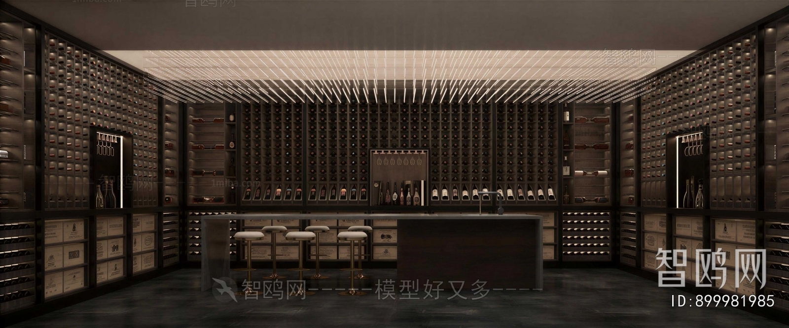 Modern Wine Cellar/Wine Tasting Room