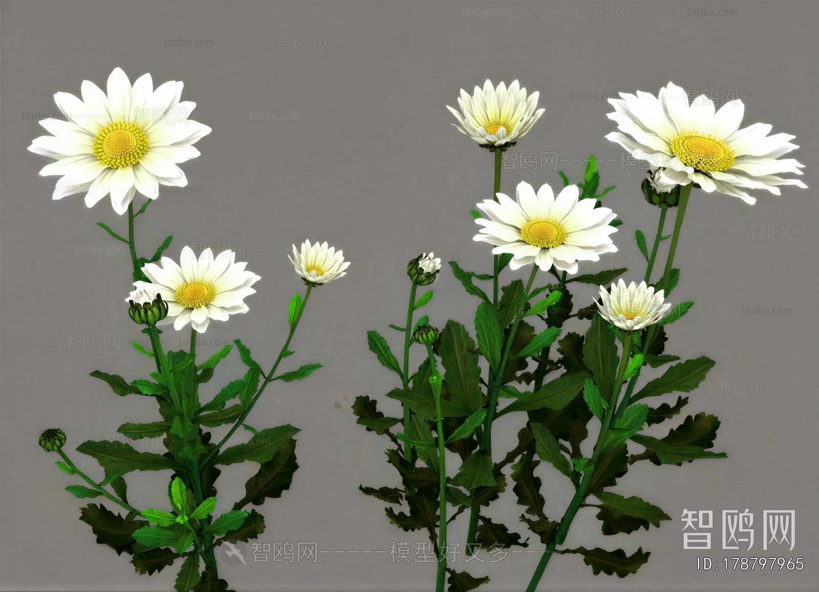 Modern Flowers And Grass