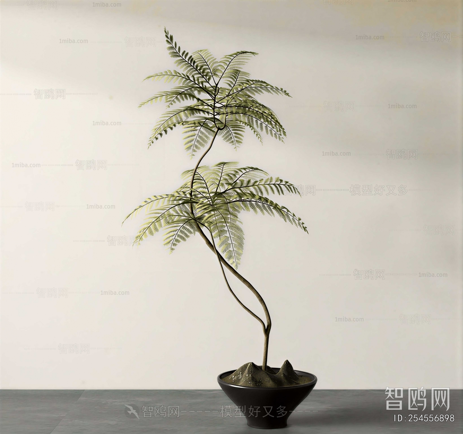 Wabi-sabi Style Bonsai