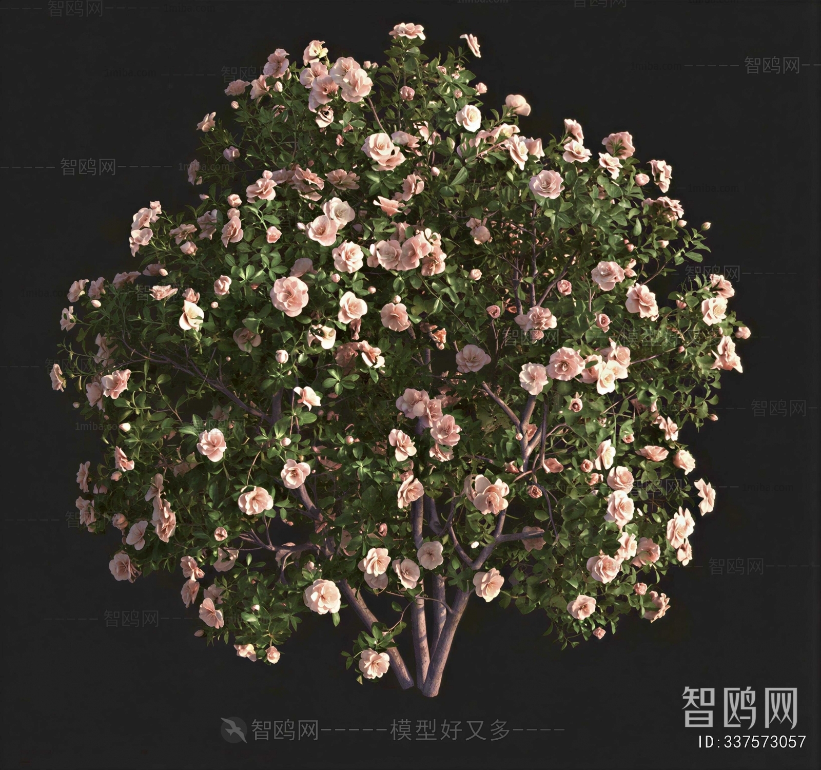 Modern Shrubbery