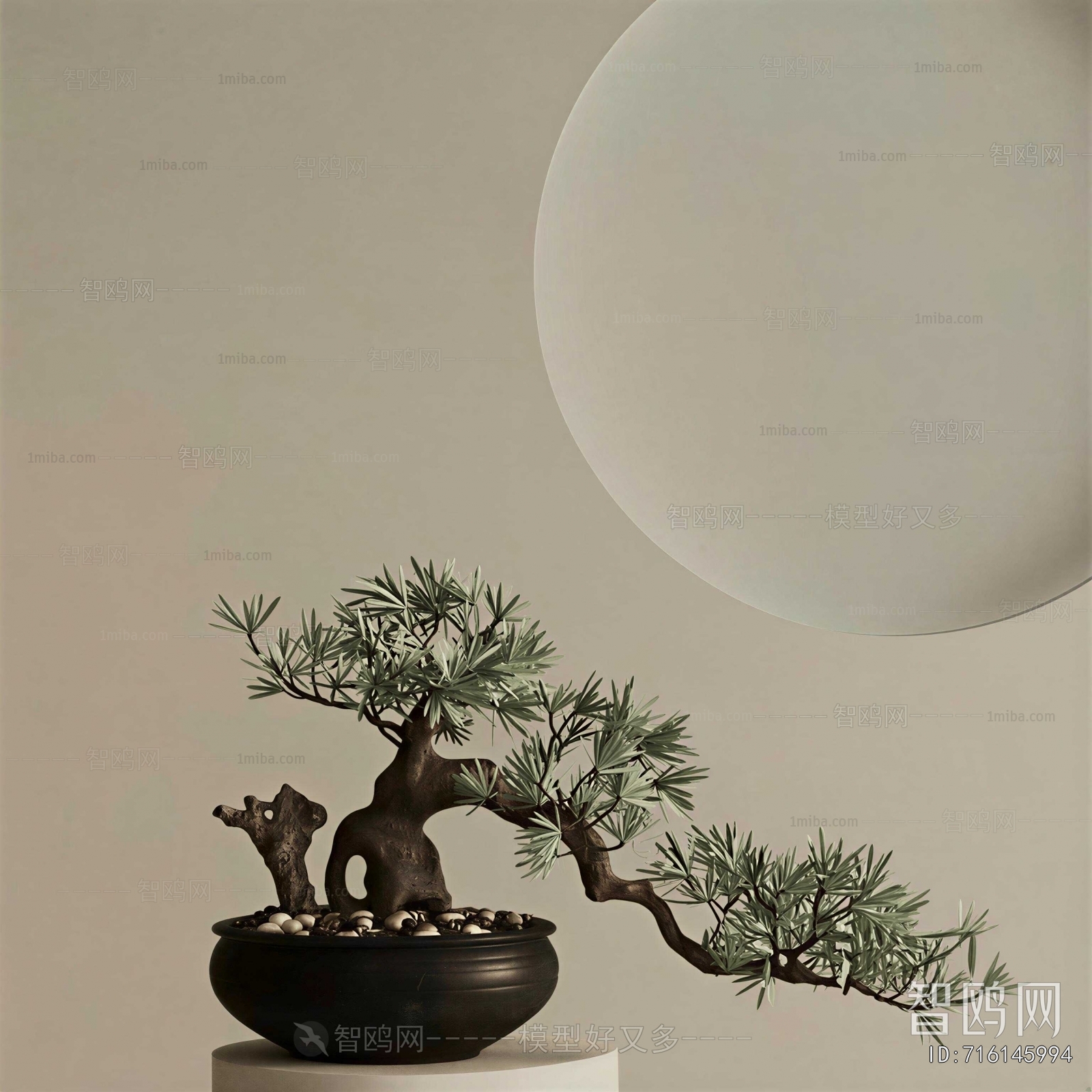 Wabi-sabi Style Bonsai