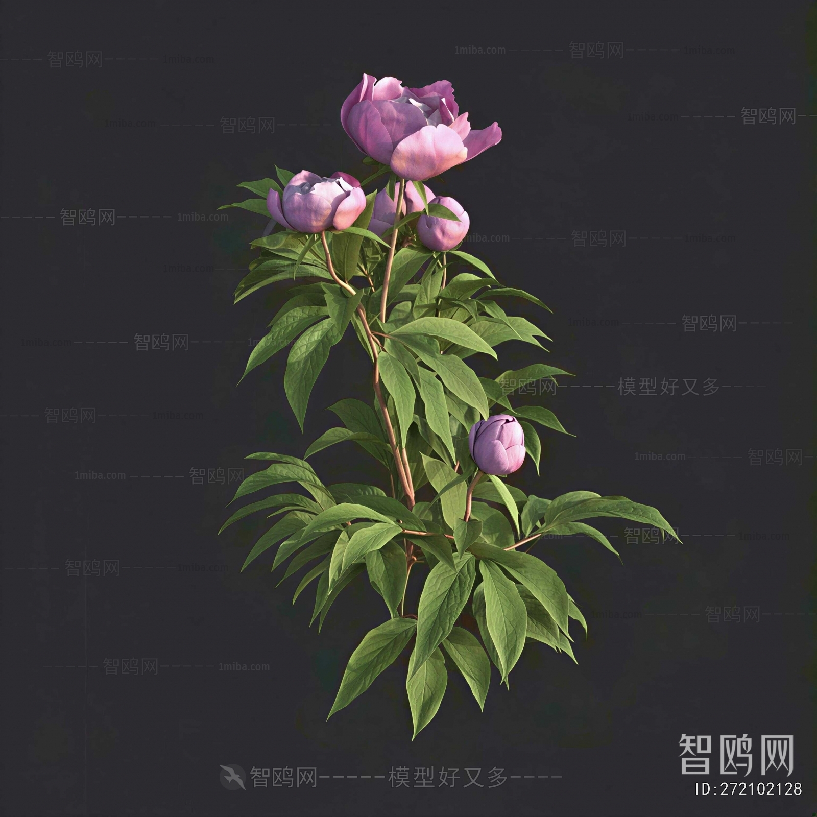 Modern Flowers And Grass