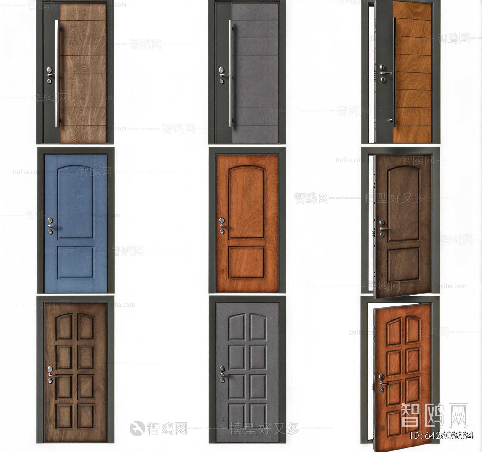 Modern Entrance Door