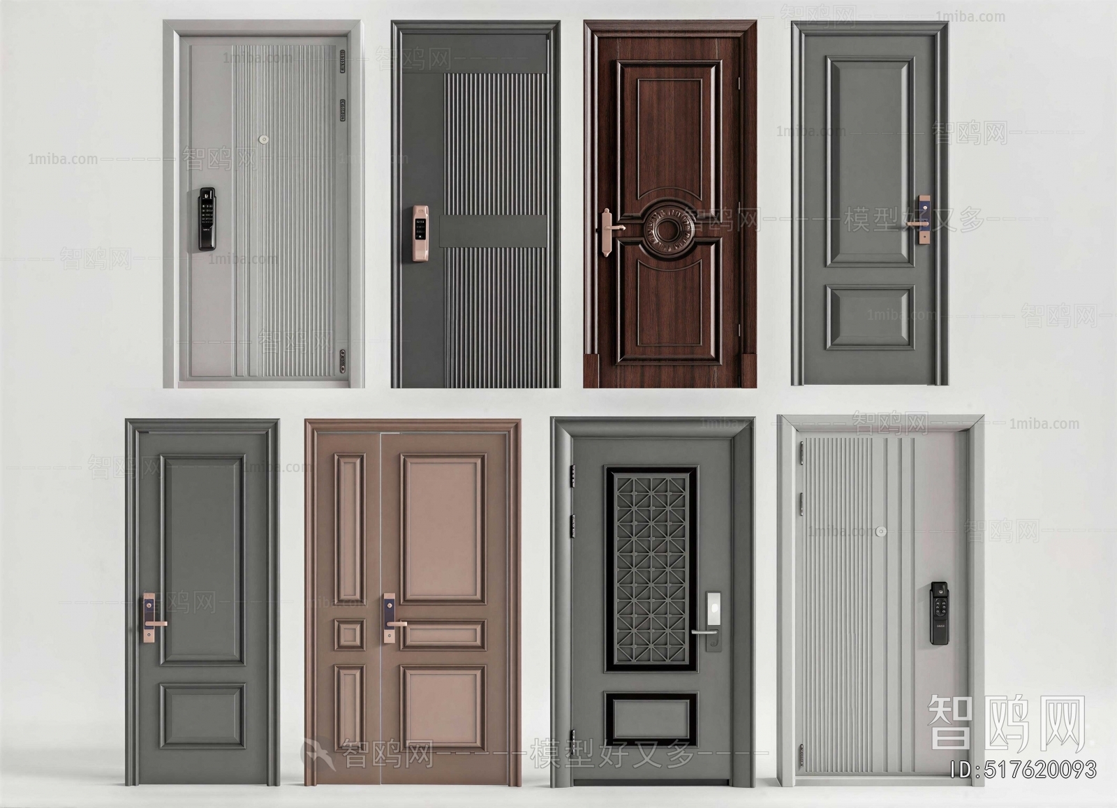 Modern Entrance Door