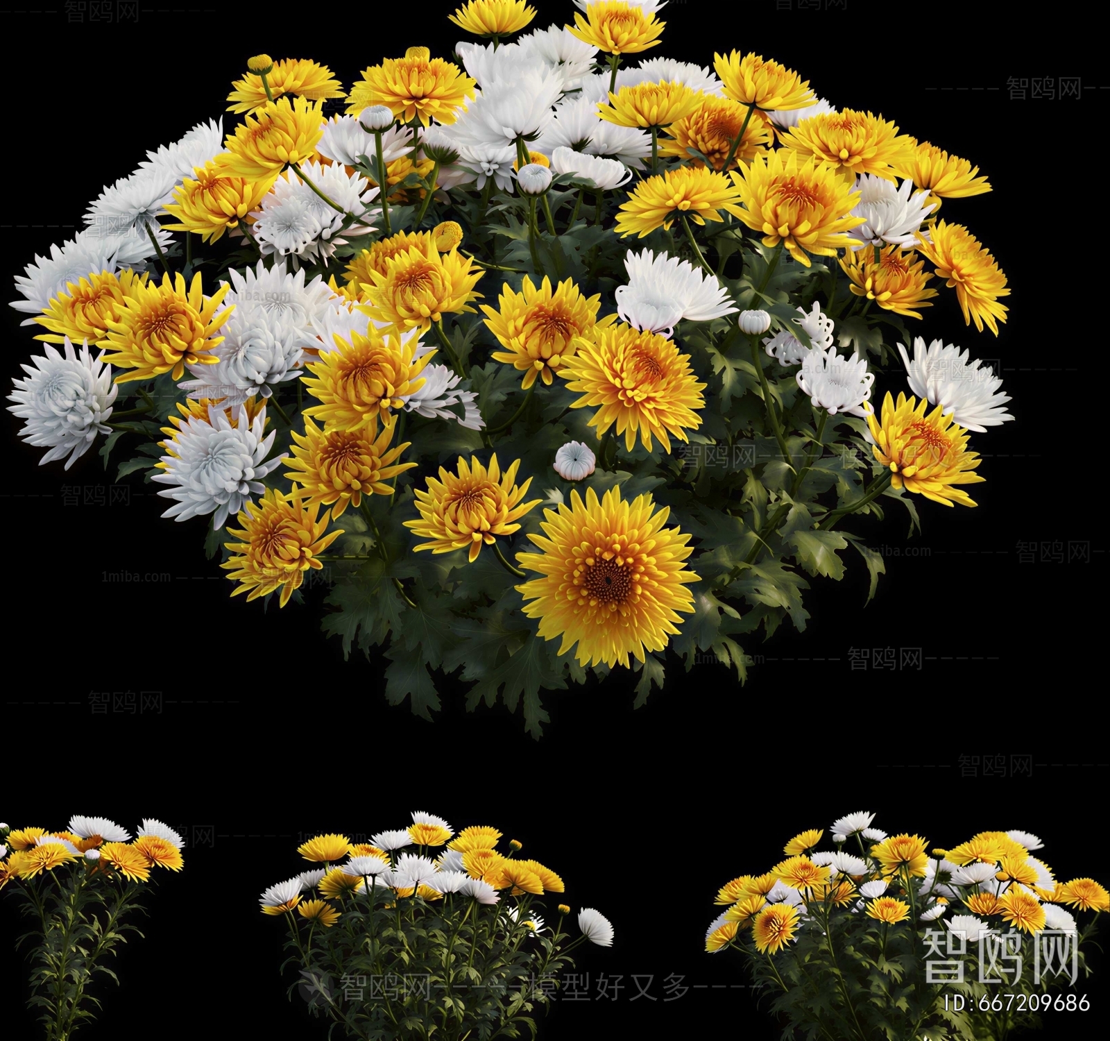 Modern Flowers And Grass