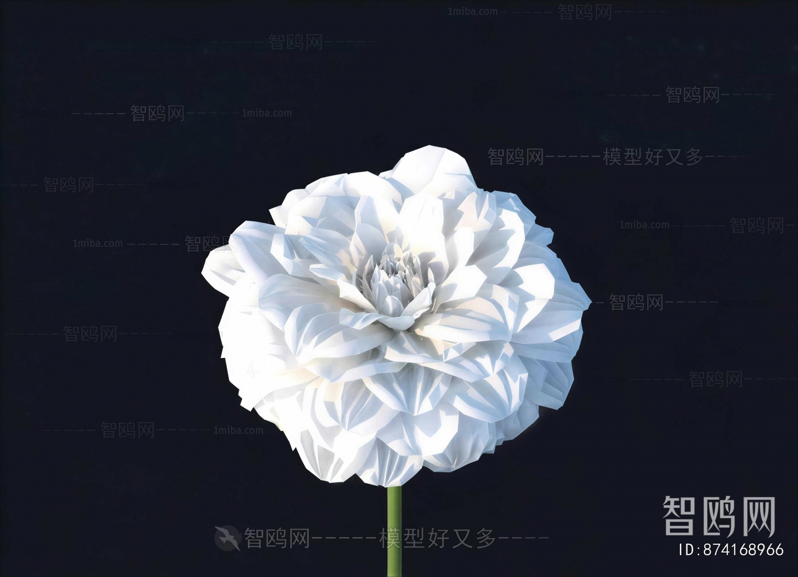 Modern Flowers And Grass