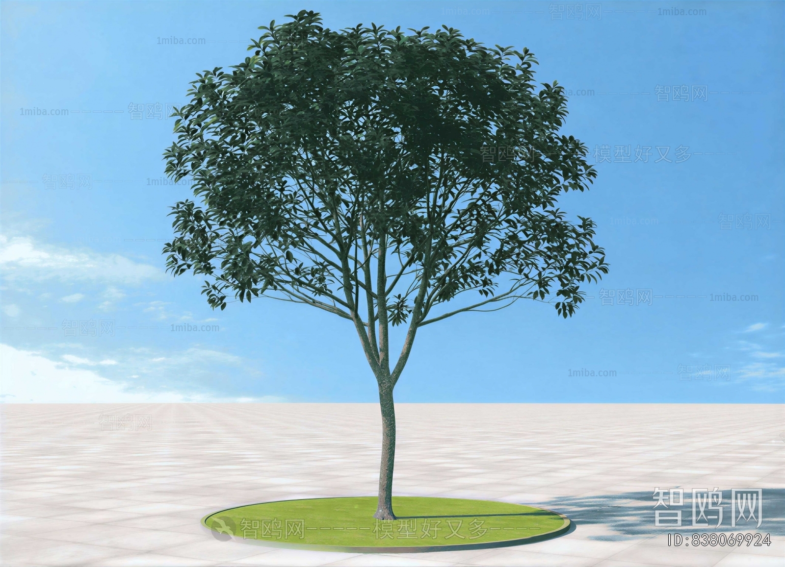Modern Tree