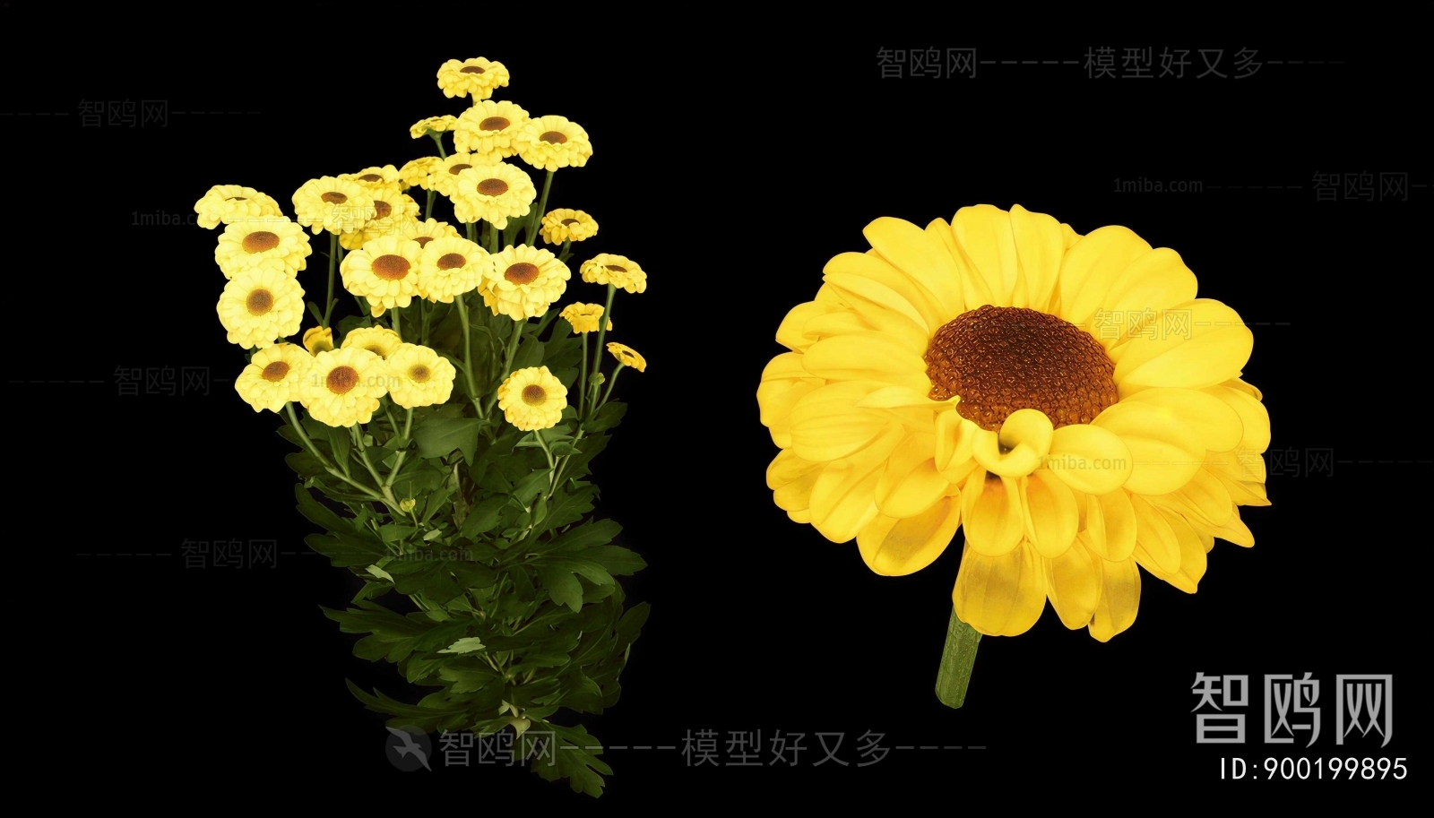 Modern Flowers And Grass