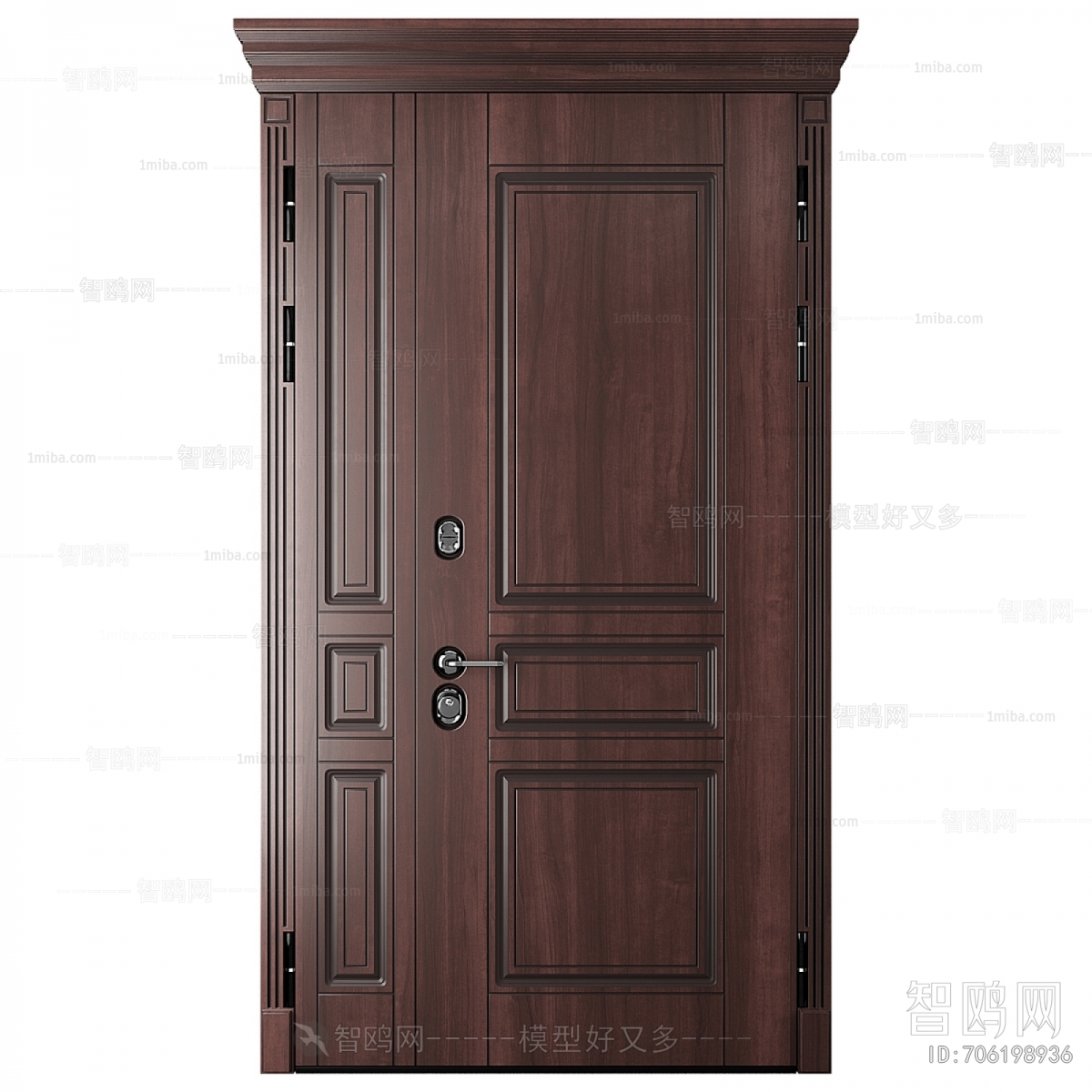 Modern Entrance Door