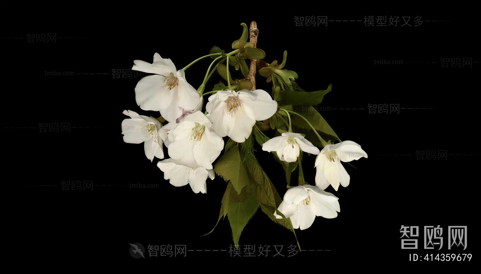 Modern Flowers And Grass