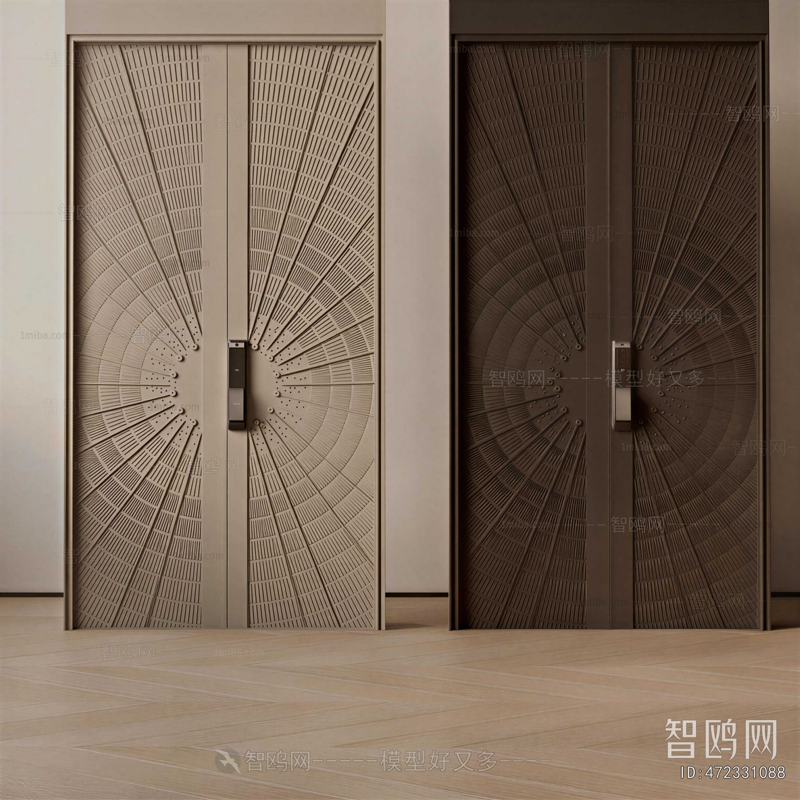 Modern Entrance Door