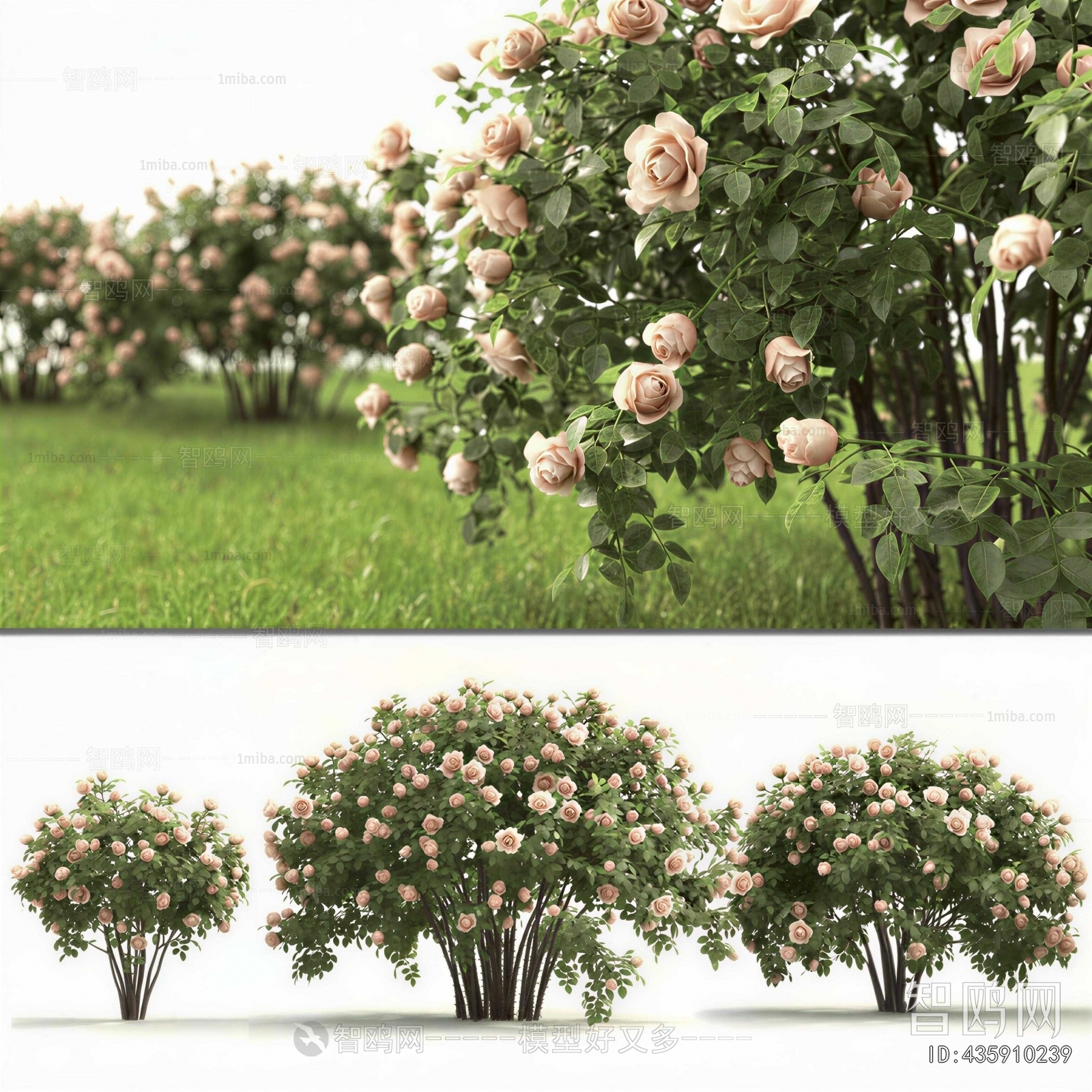 Modern Shrubbery