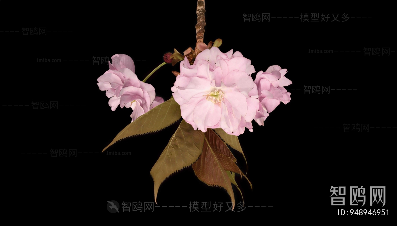 Modern Flowers And Grass