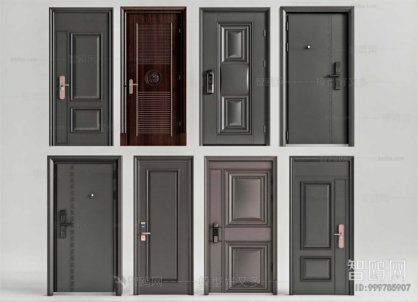 Modern Entrance Door
