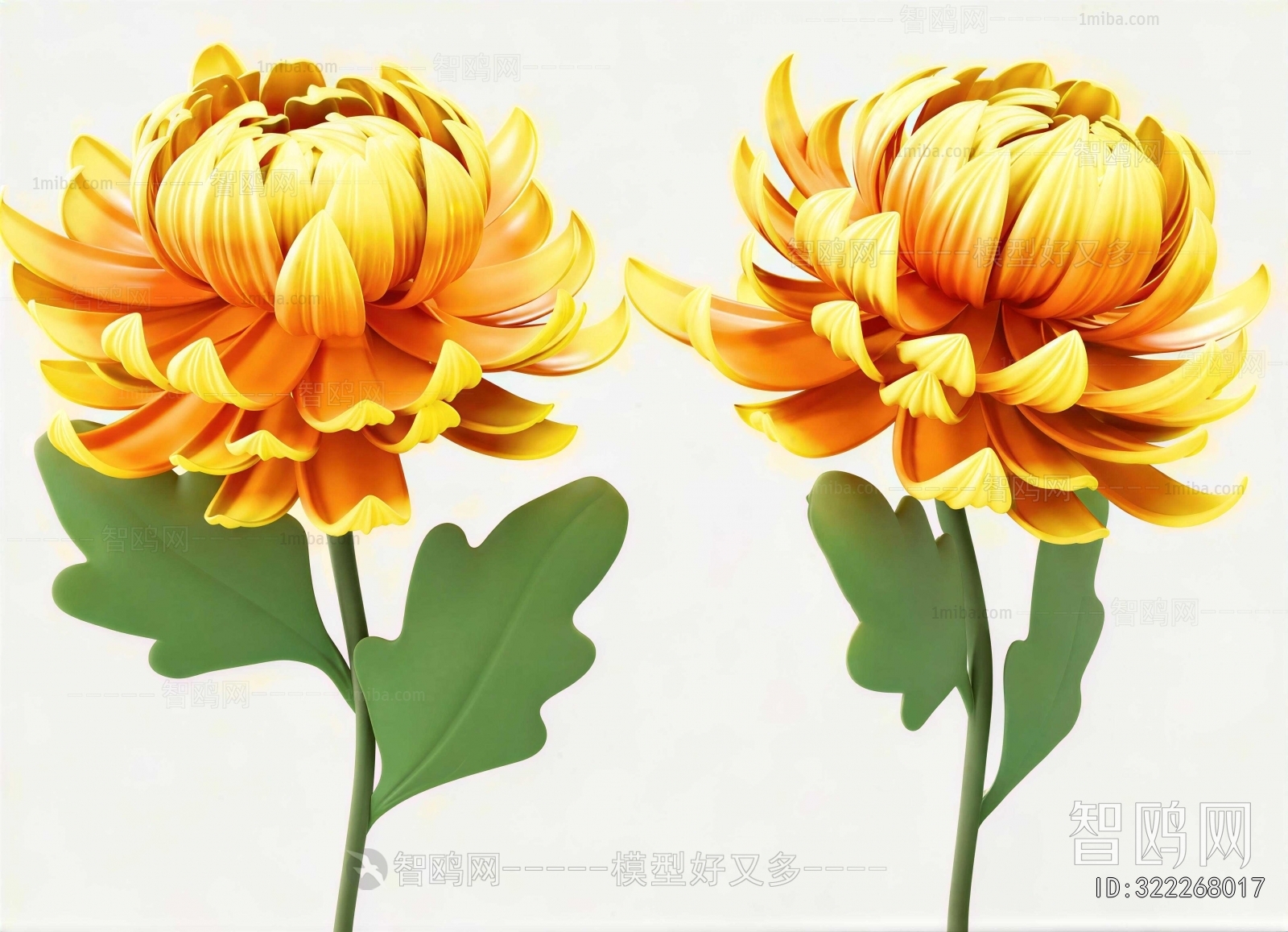 Modern Flowers And Grass