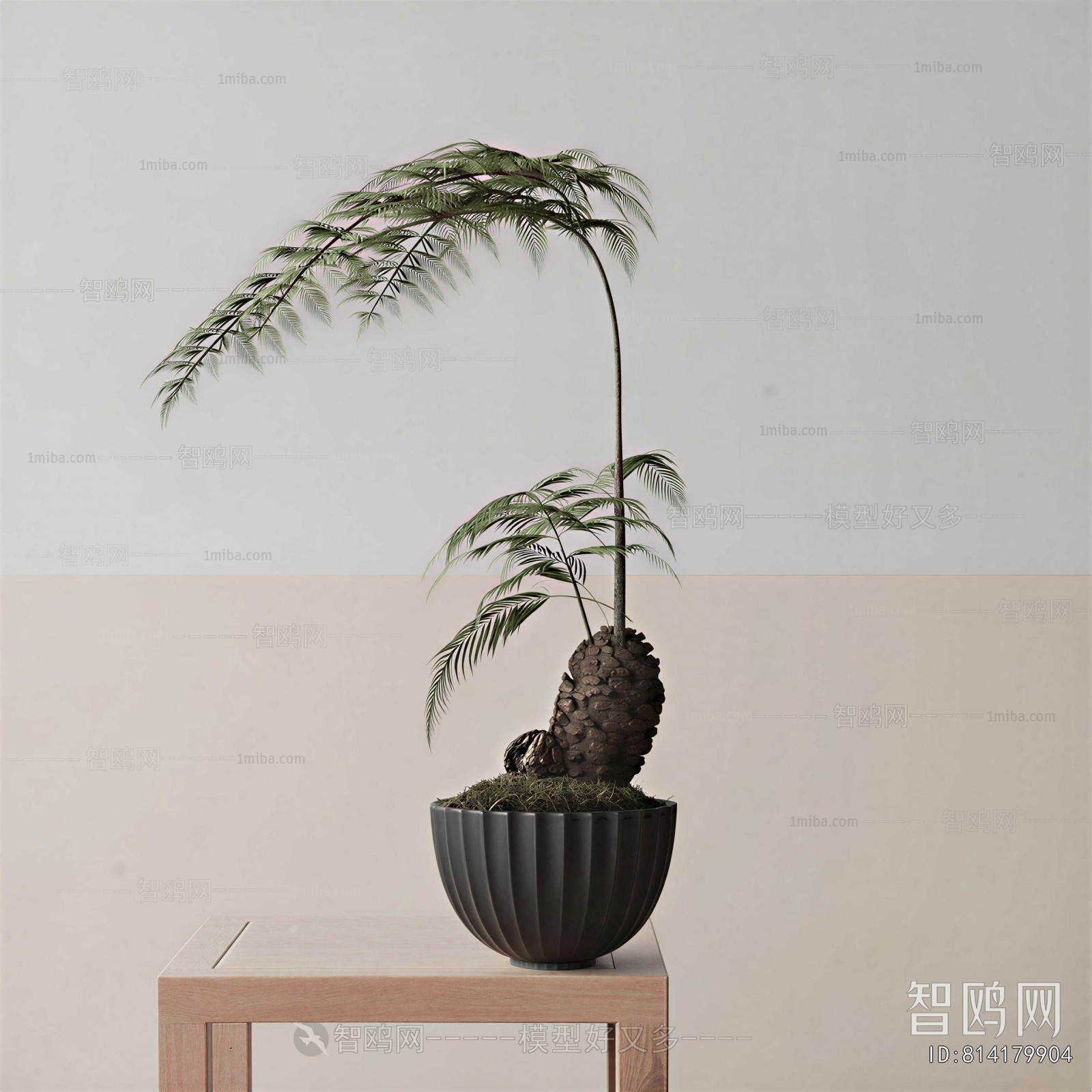 Modern Bonsai