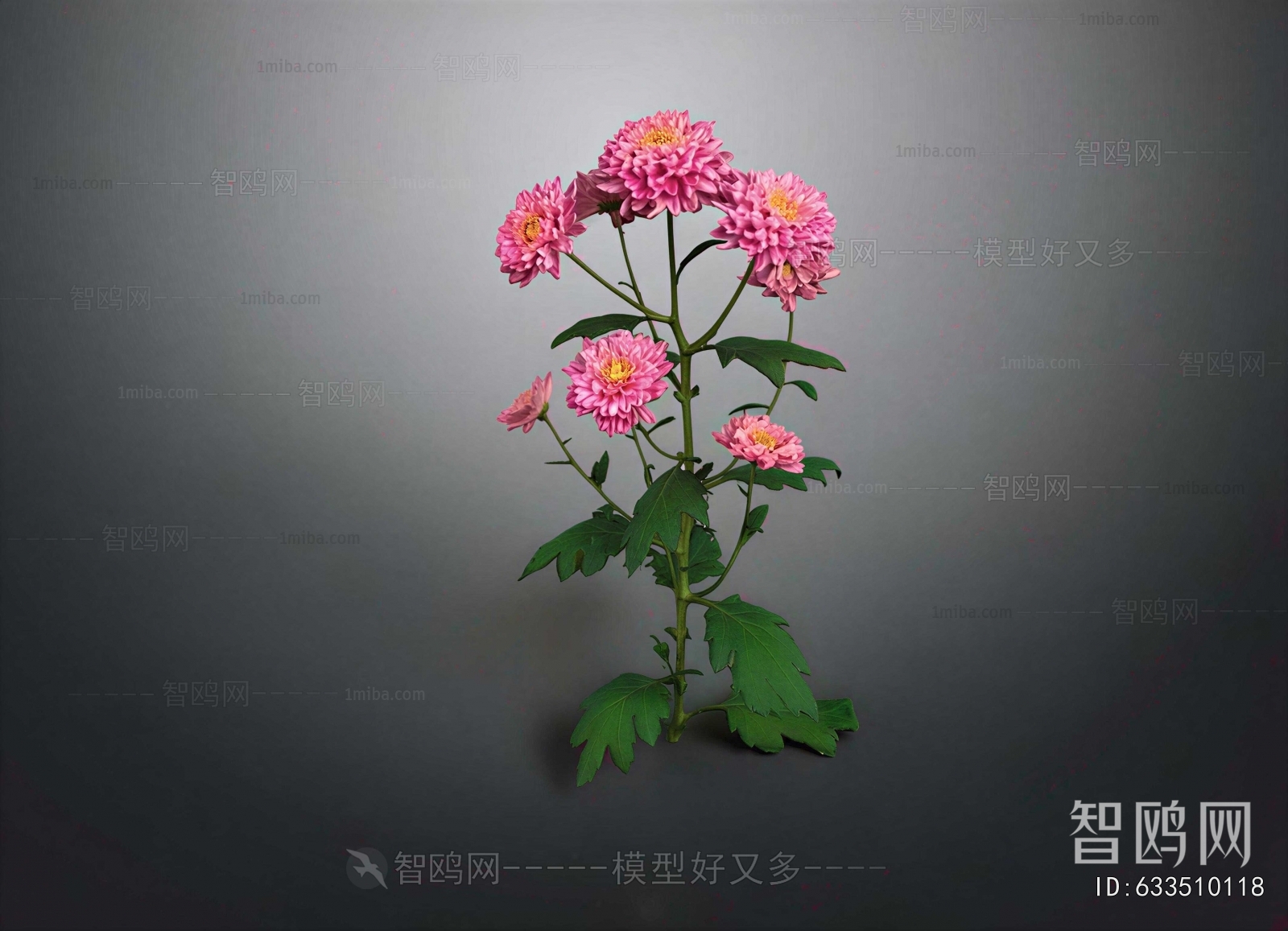 Modern Flowers And Grass