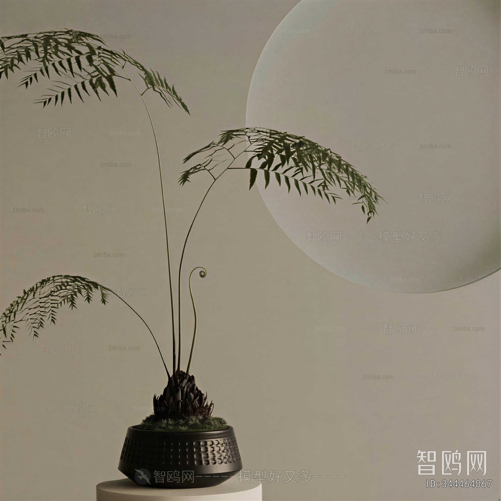 Wabi-sabi Style Bonsai