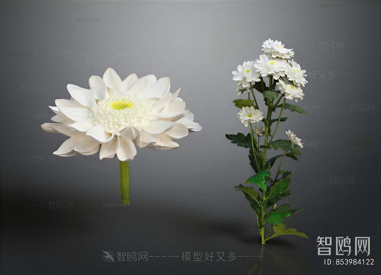 Modern Flowers And Grass