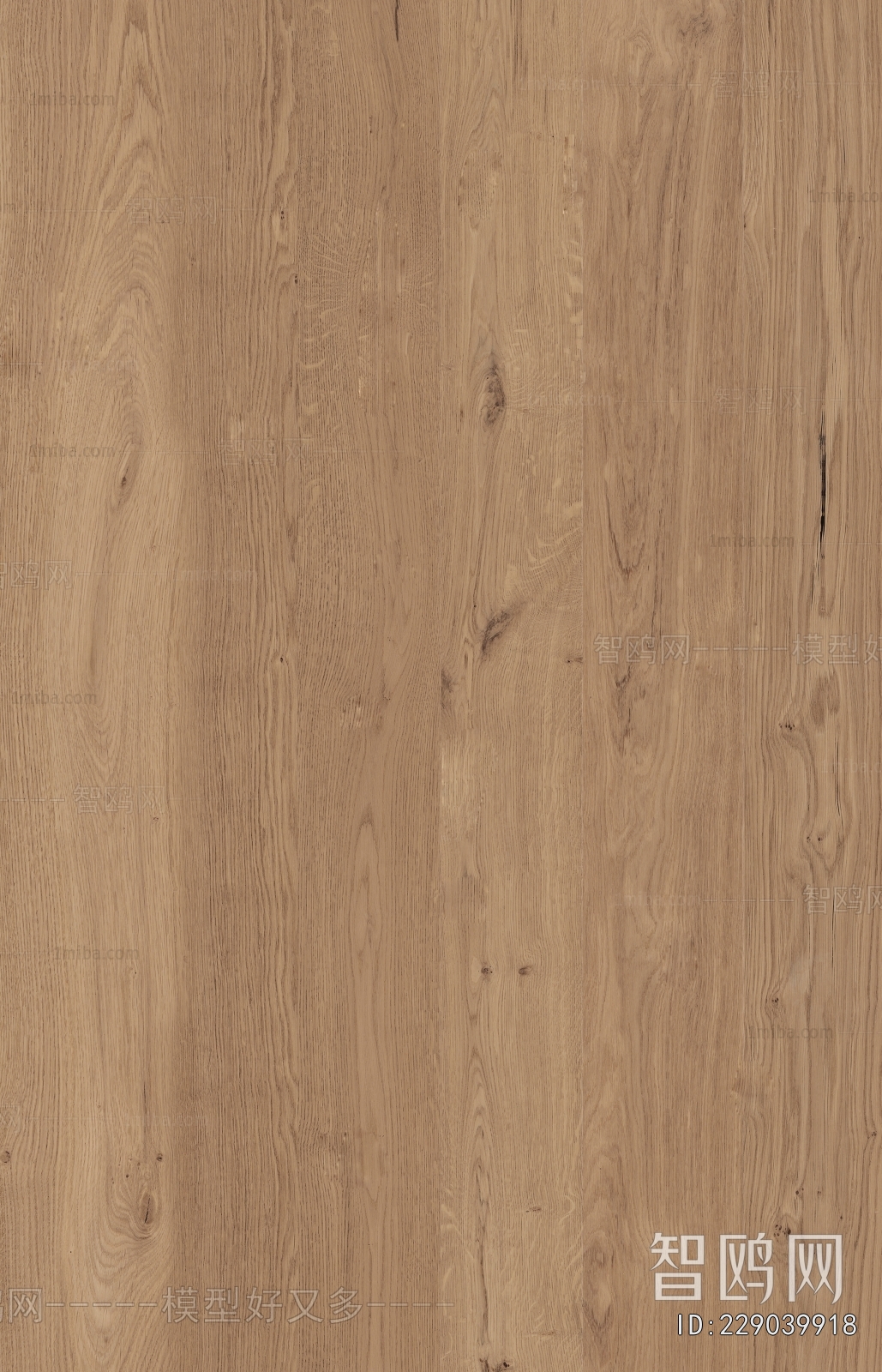 Wood Texture