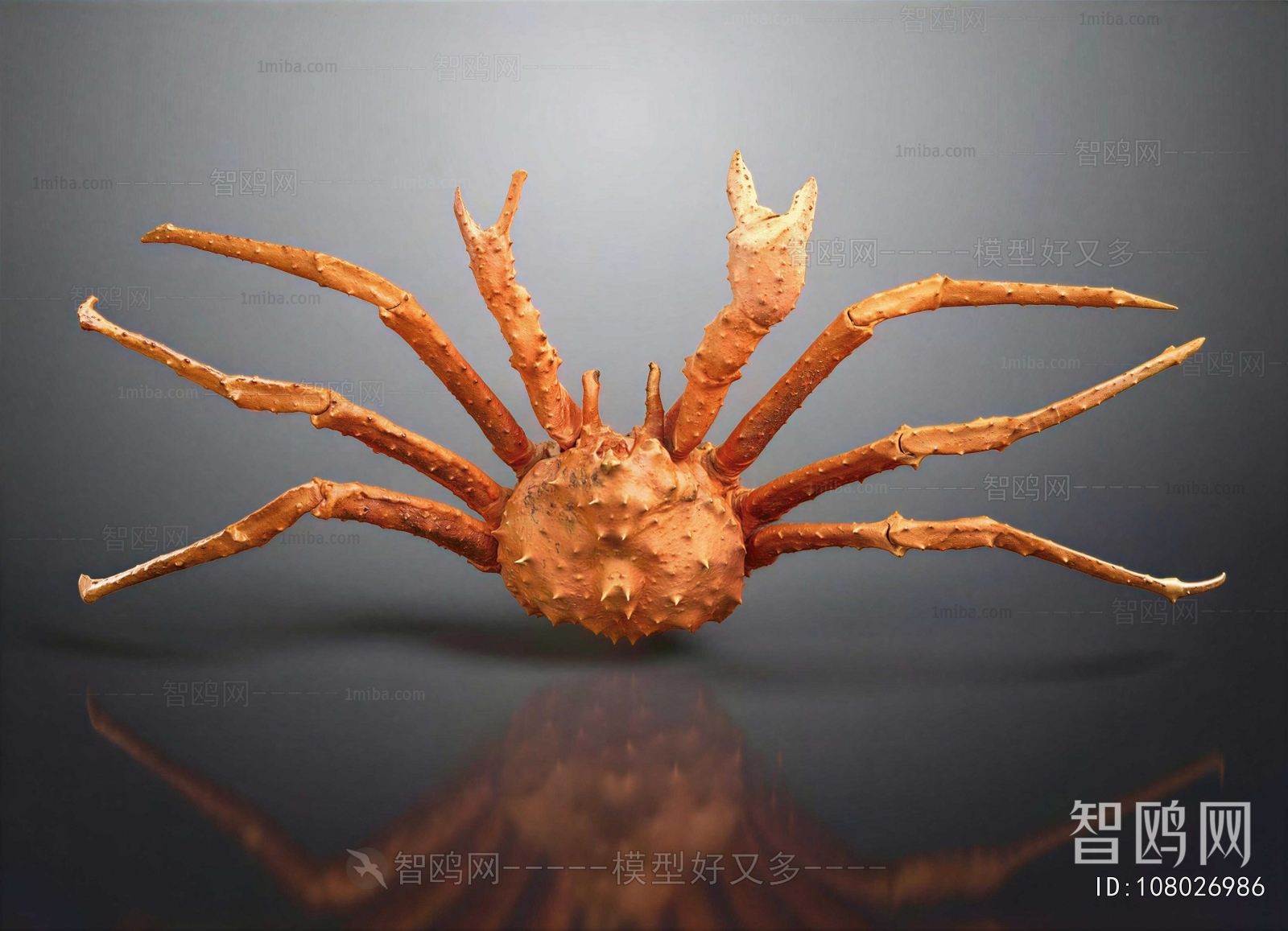 Modern Aquatic Animals