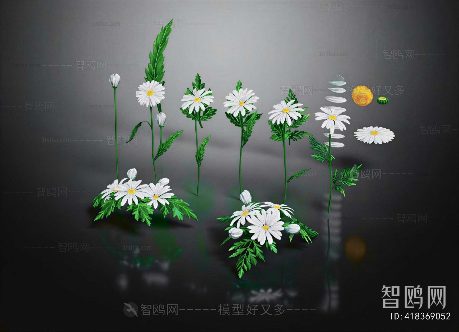 Modern Flowers And Grass
