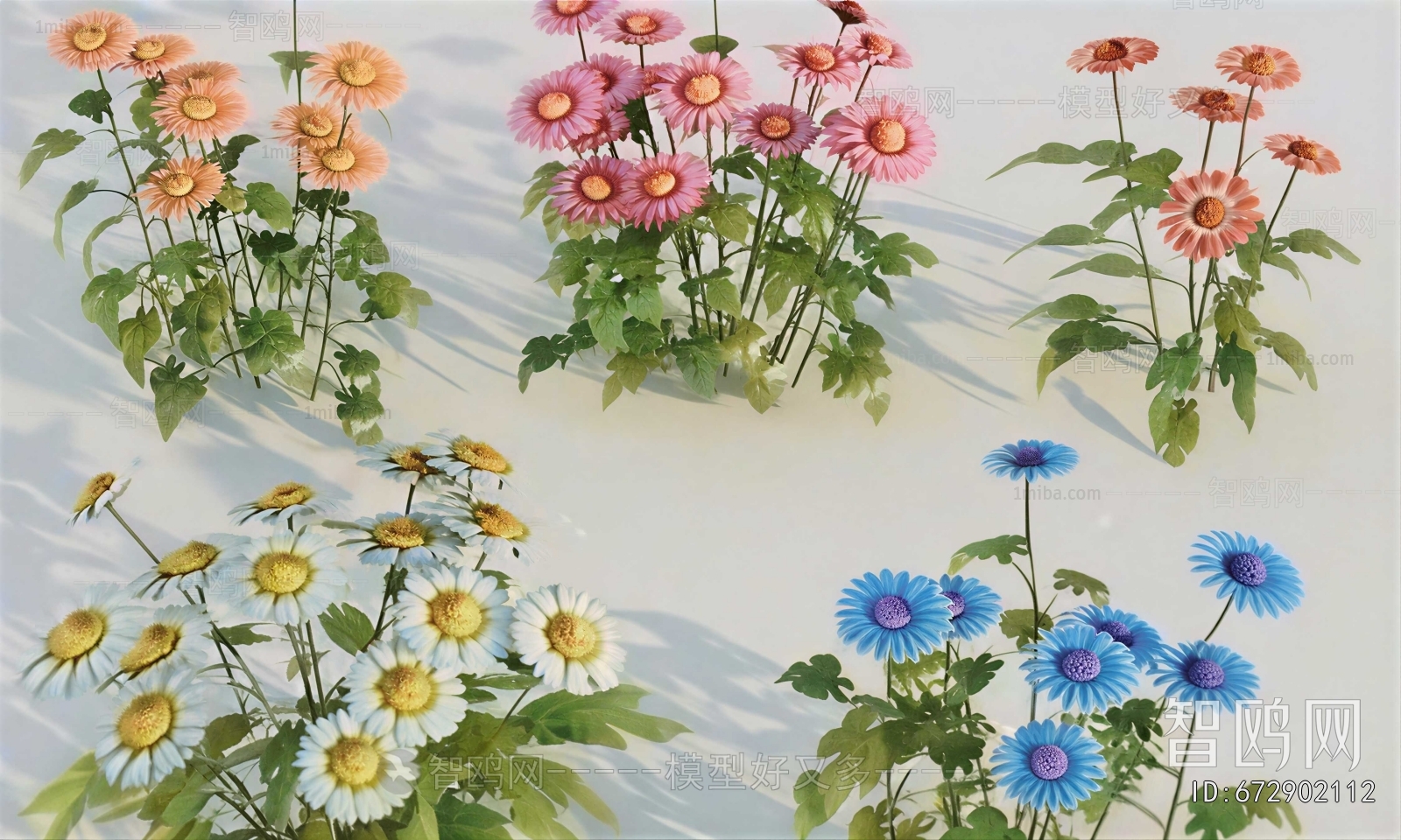 Modern Flowers And Grass