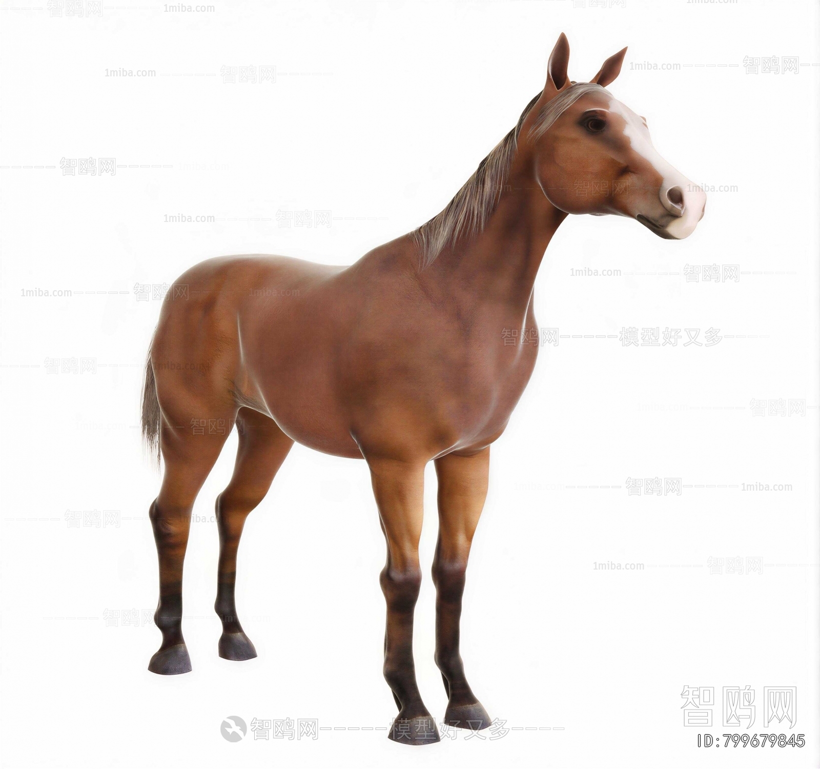 Modern Animal Horse