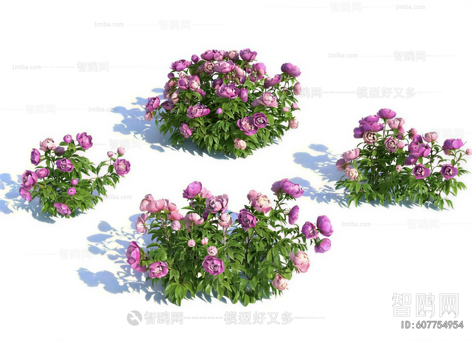 Modern Shrubbery