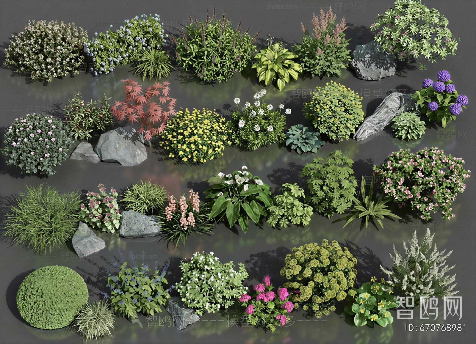 Modern Shrubbery