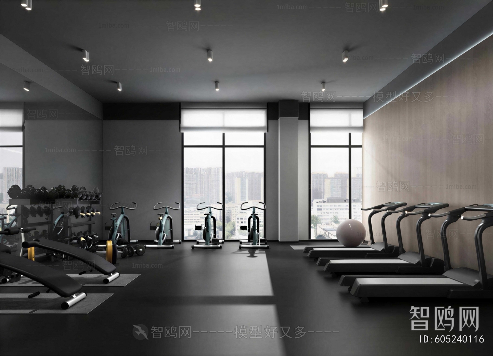 Modern Gym