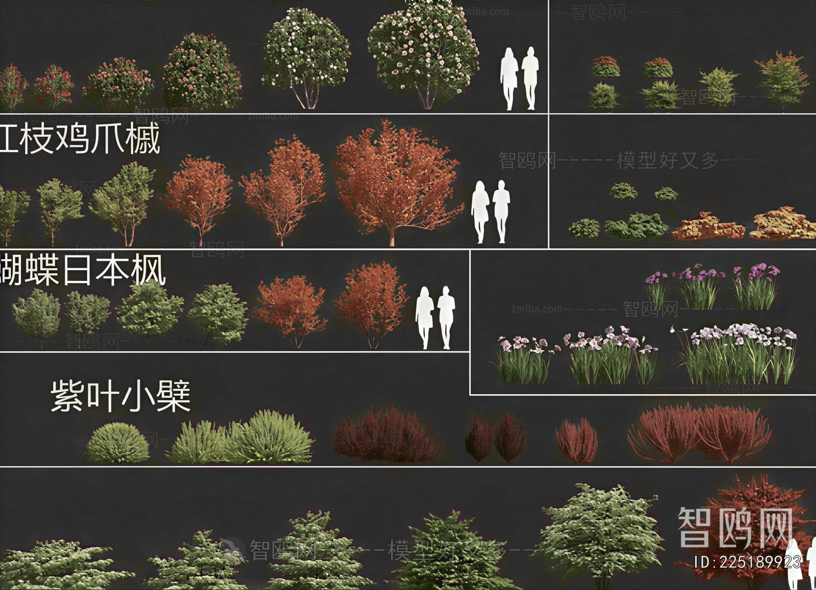 Modern Shrubbery