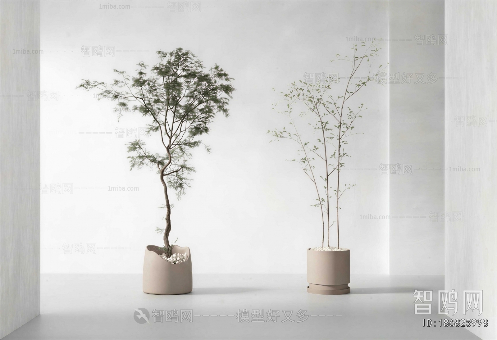 Modern Ground Green Plant Potted Plants