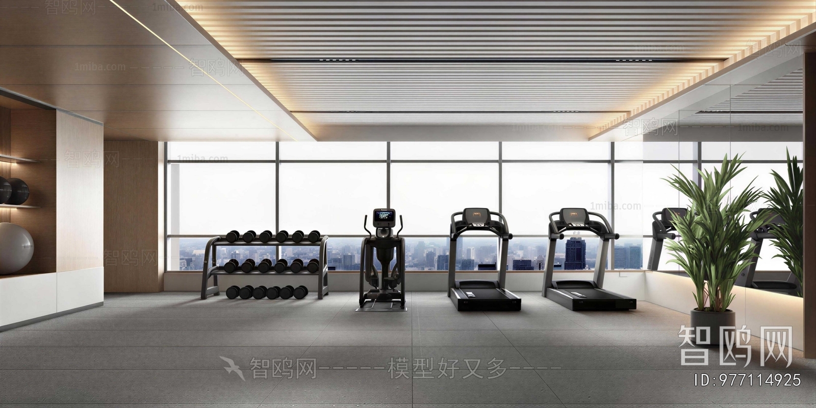 Modern Home Fitness Room