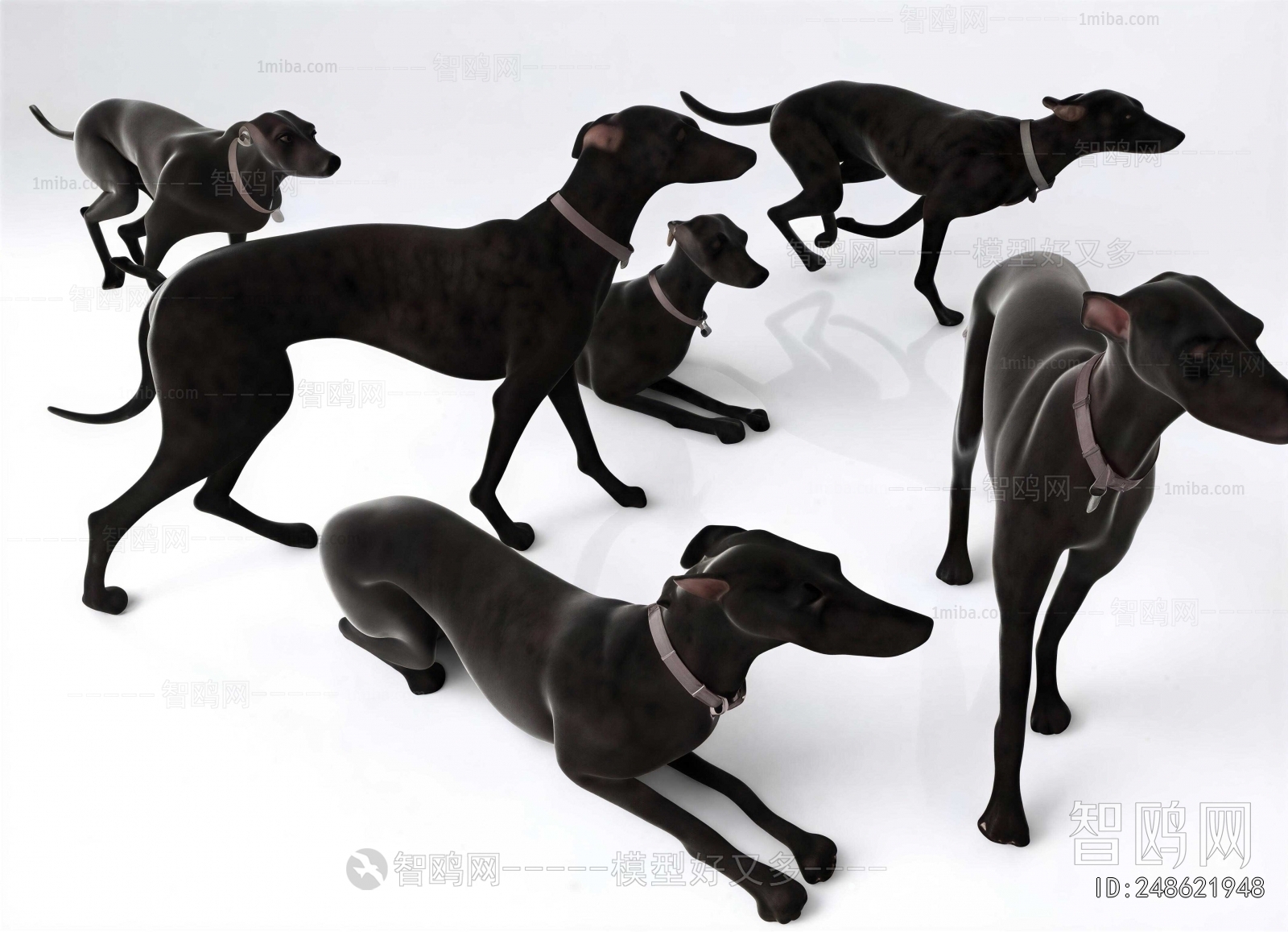 Modern Animal Dog