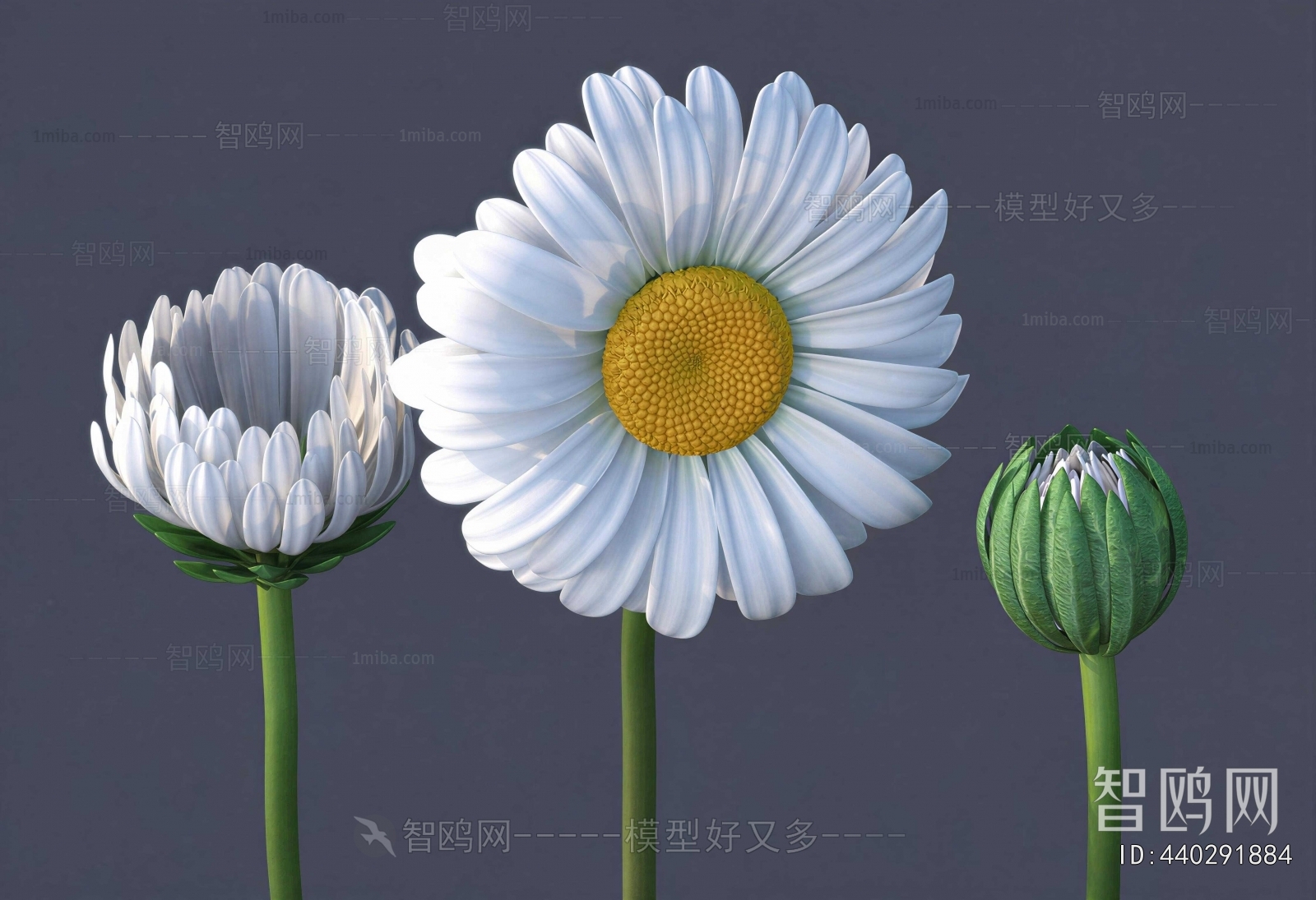 Modern Flowers And Grass
