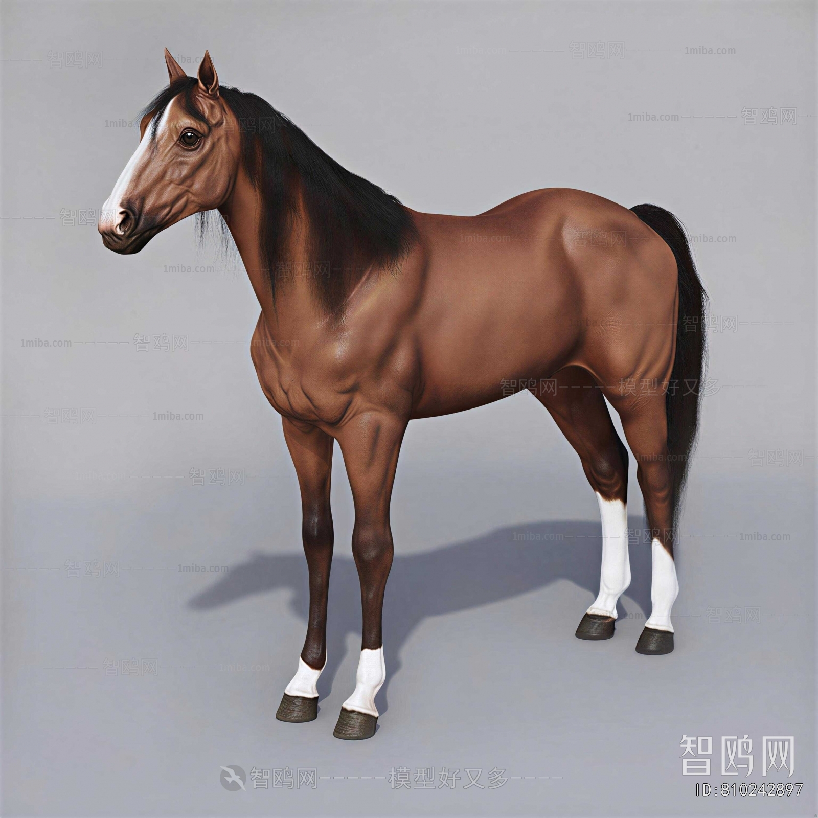 Modern Animal Horse