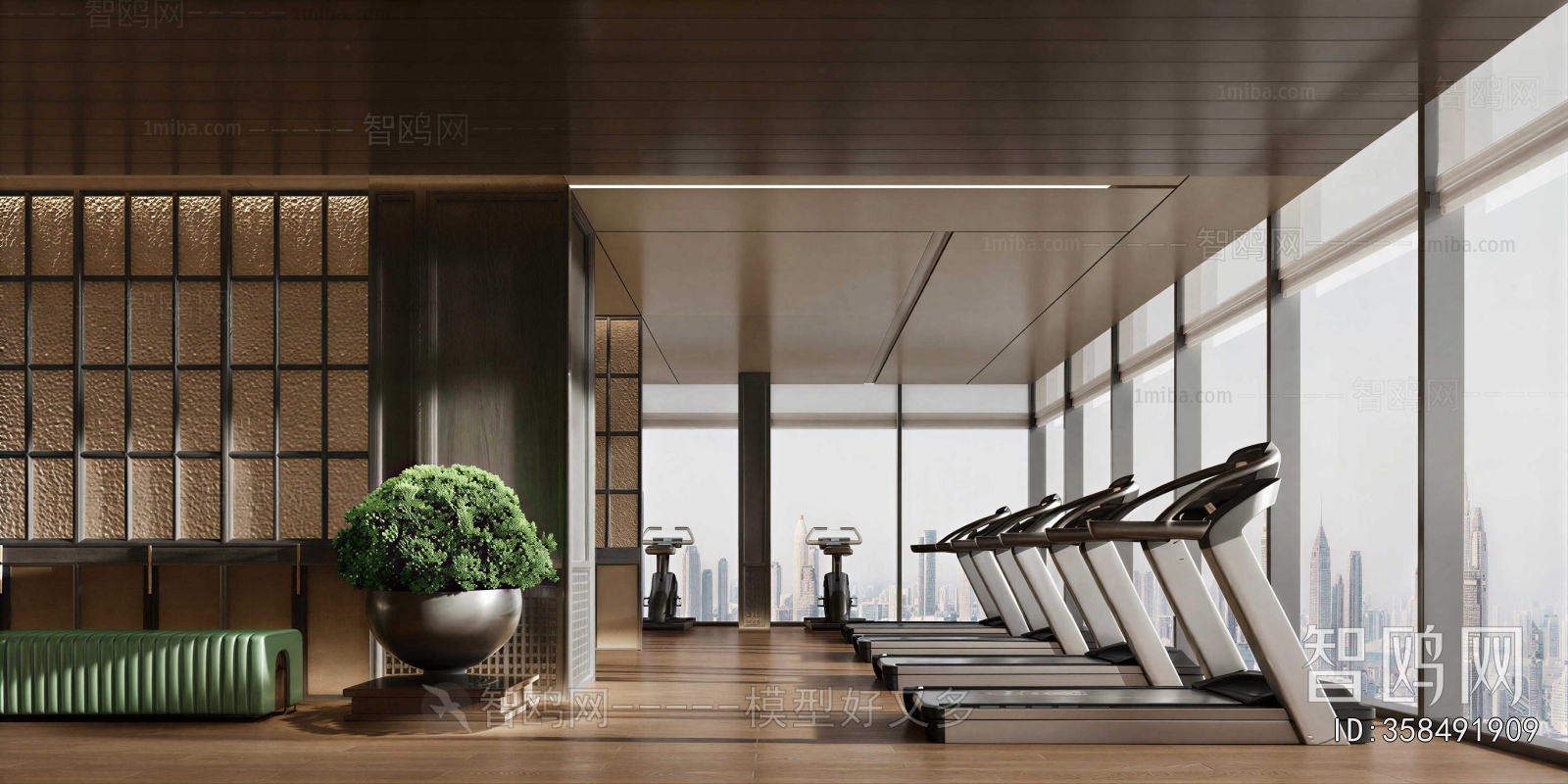 Modern Gym