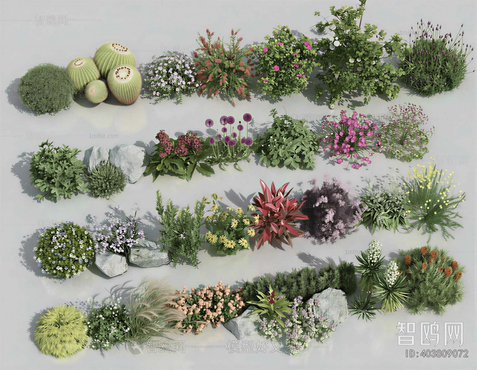 Modern Shrubbery