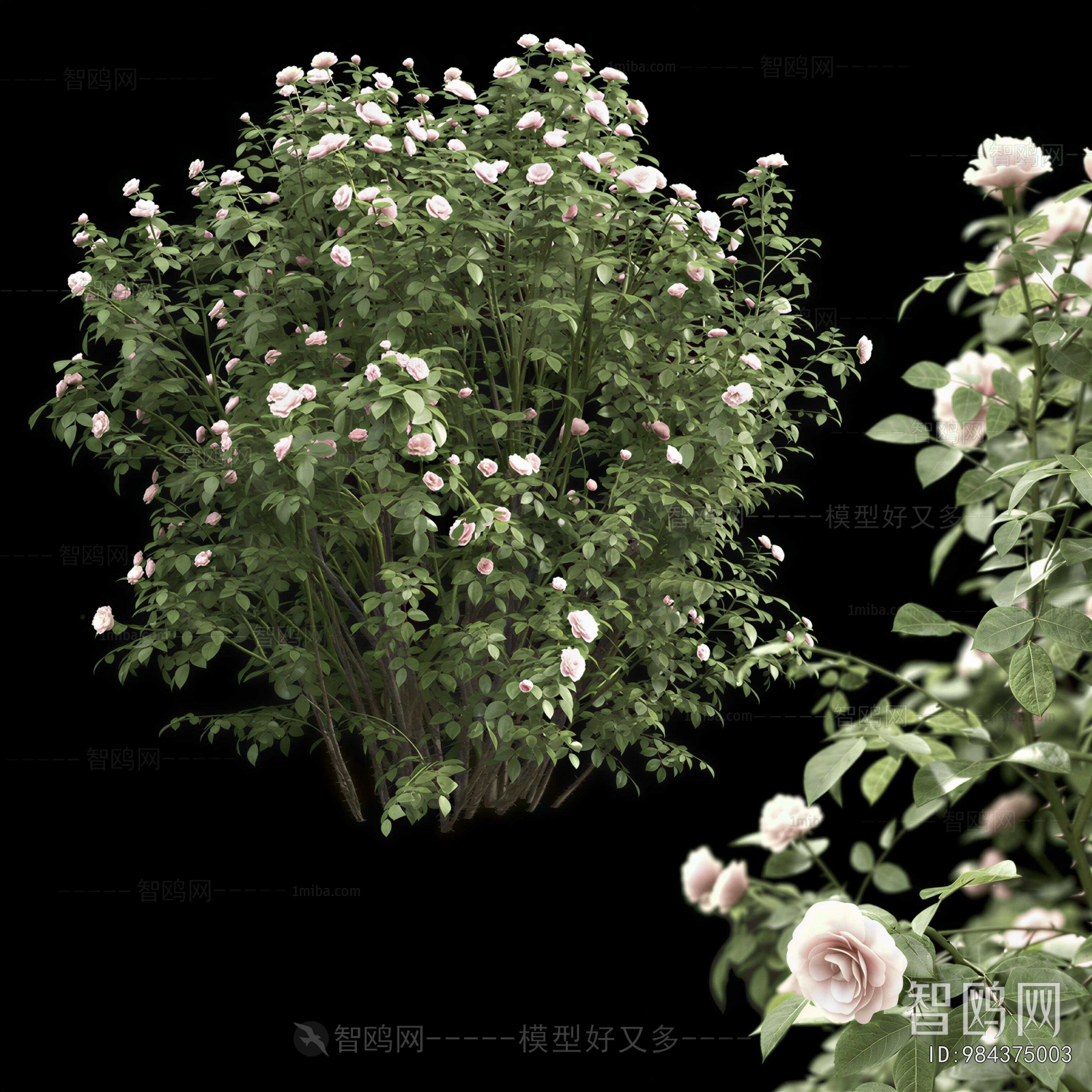Modern Flowers And Grass