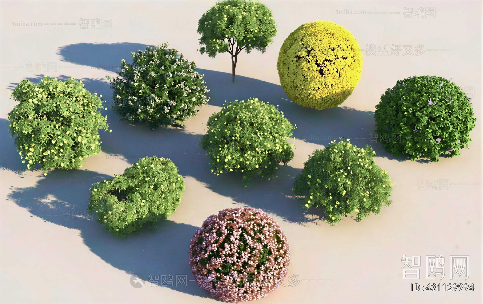 Modern Shrubbery