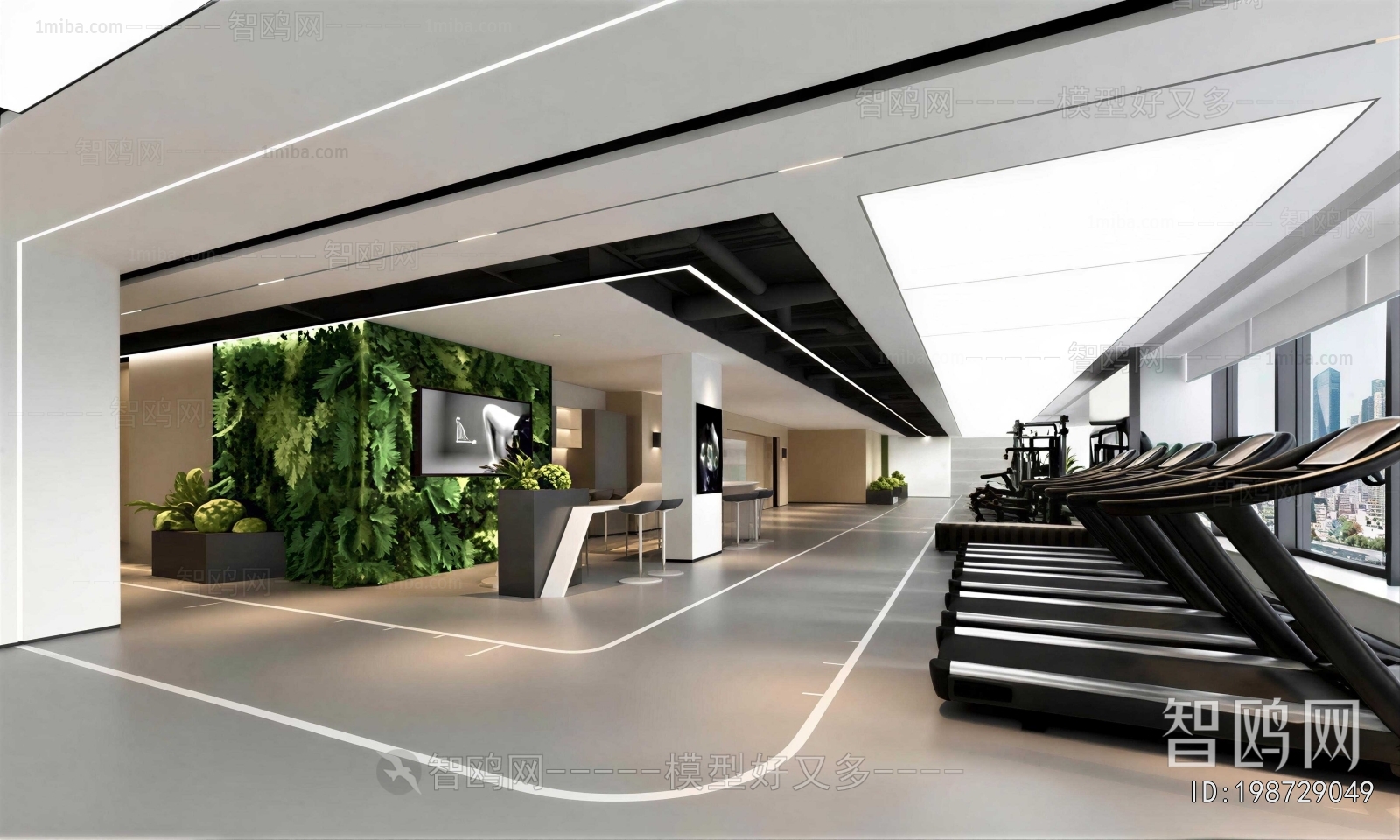 Modern Gym