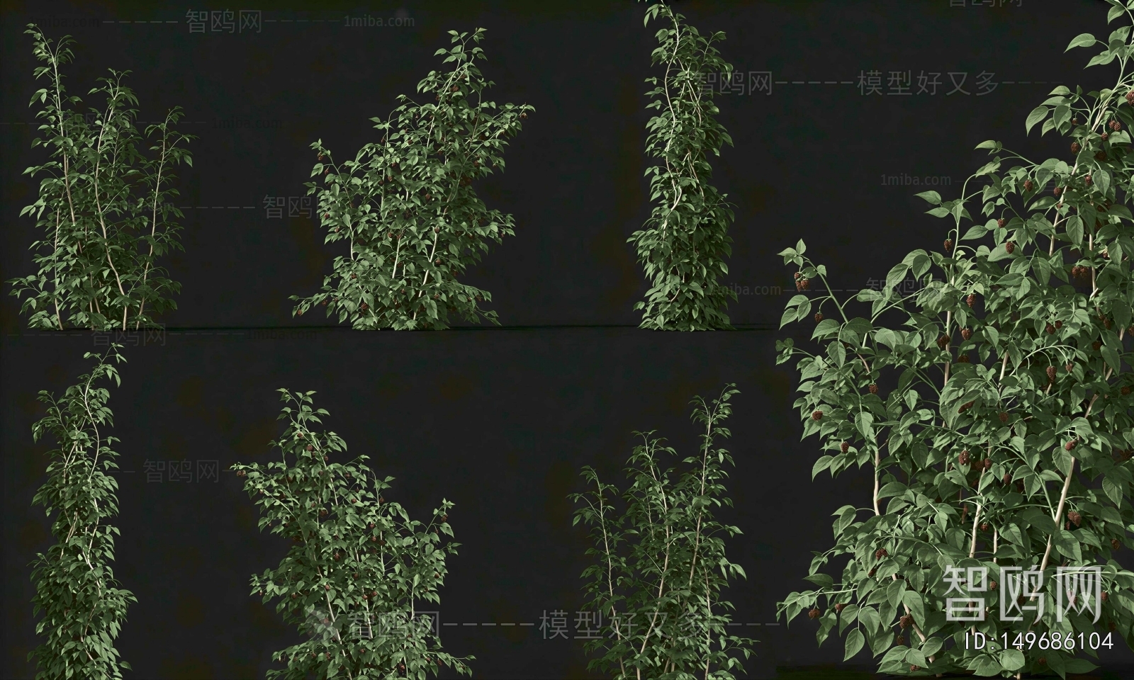 Modern Shrubbery