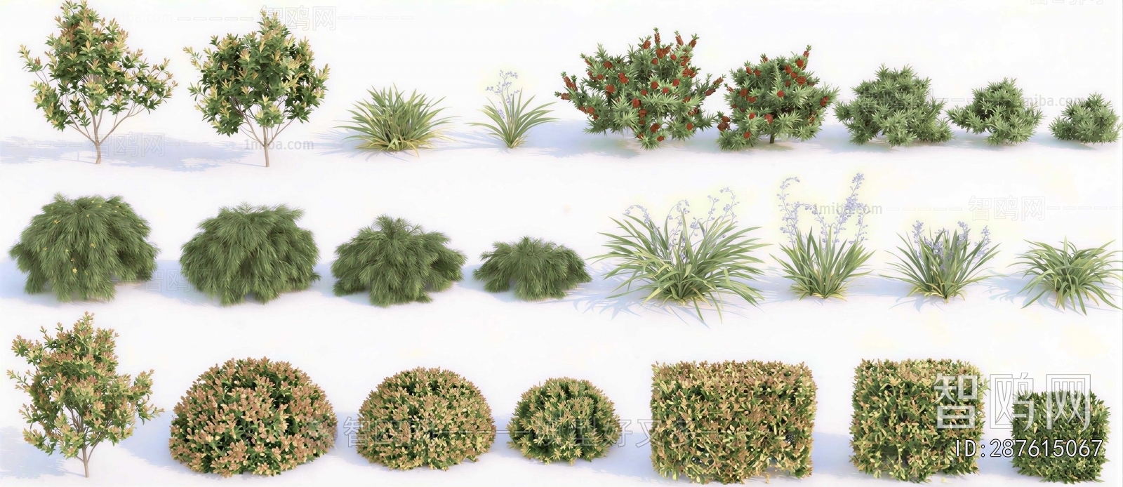 Modern Shrubbery