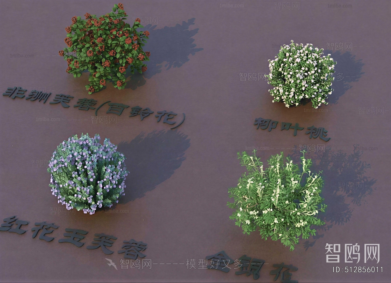 Modern Shrubbery