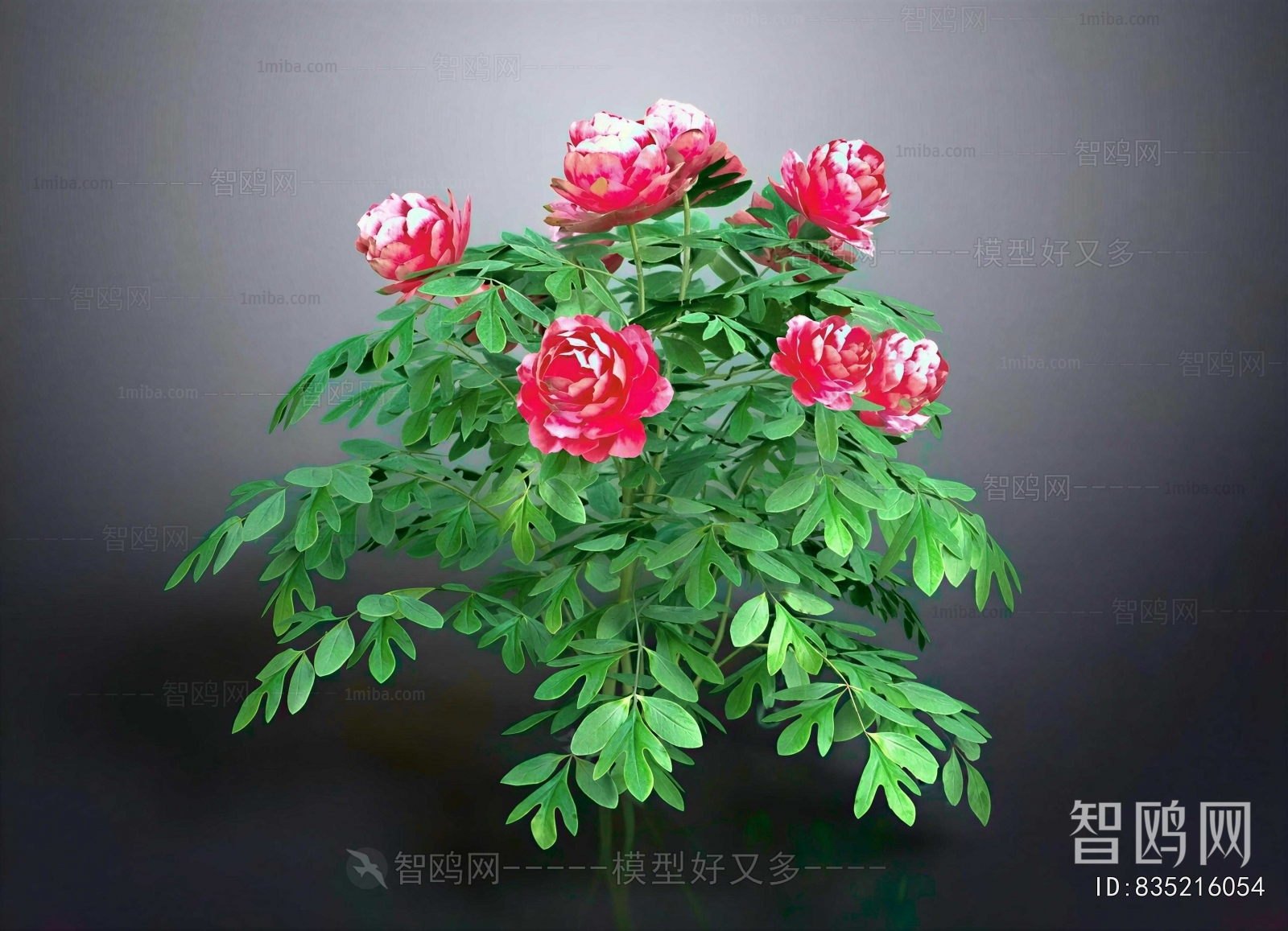 Modern Shrubbery