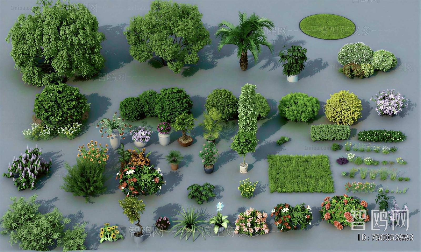 Modern Shrubbery