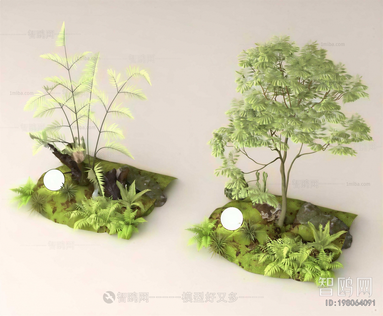 Modern Plant Landscaping