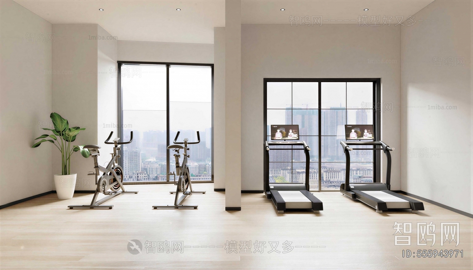 Modern Gym