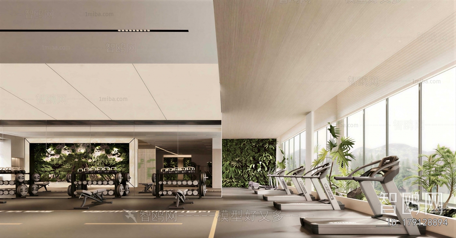 Modern Gym